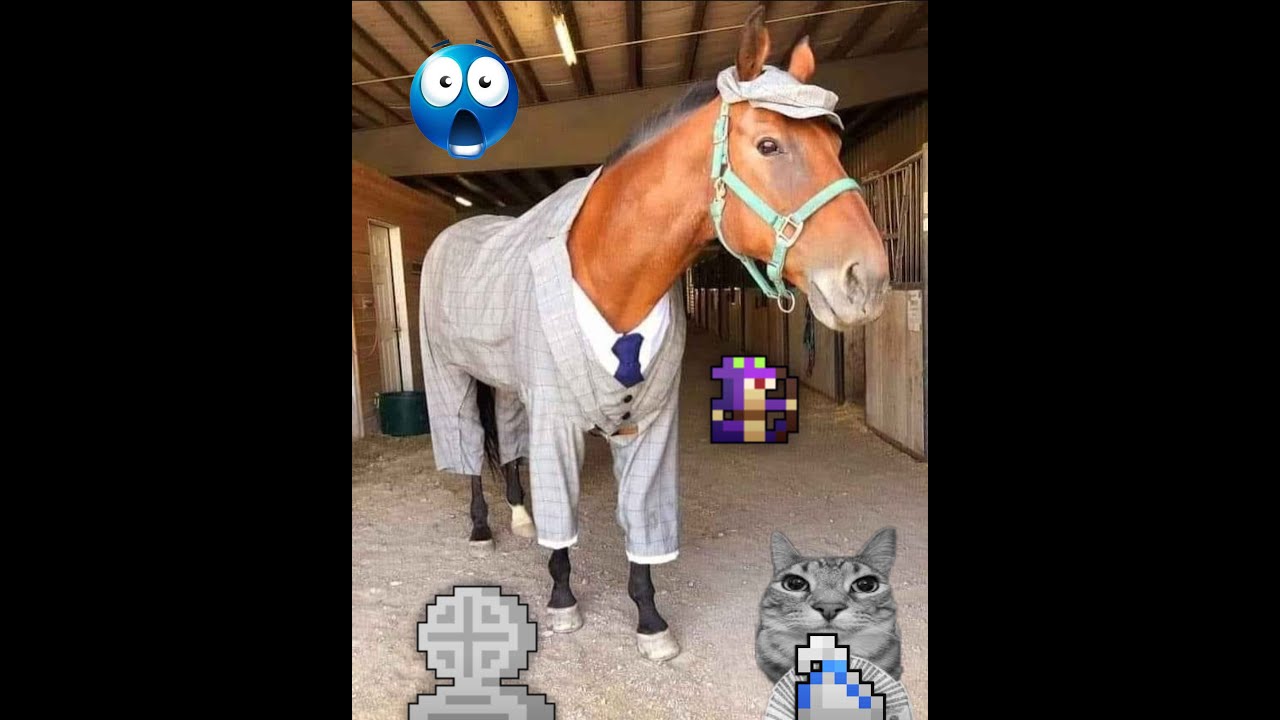 RotMG - Season 17