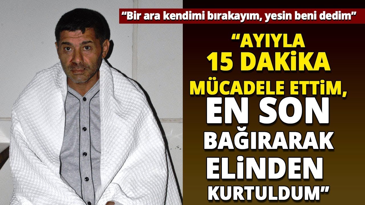 Cide'de Mantar Toplarken Ayının Saldırısına Uğrayan Vatandaş Konuştu