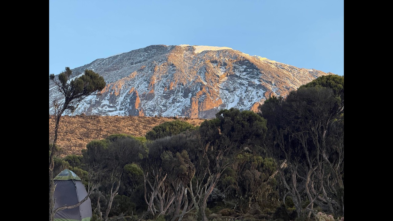 Kilimanjaro - February 2026