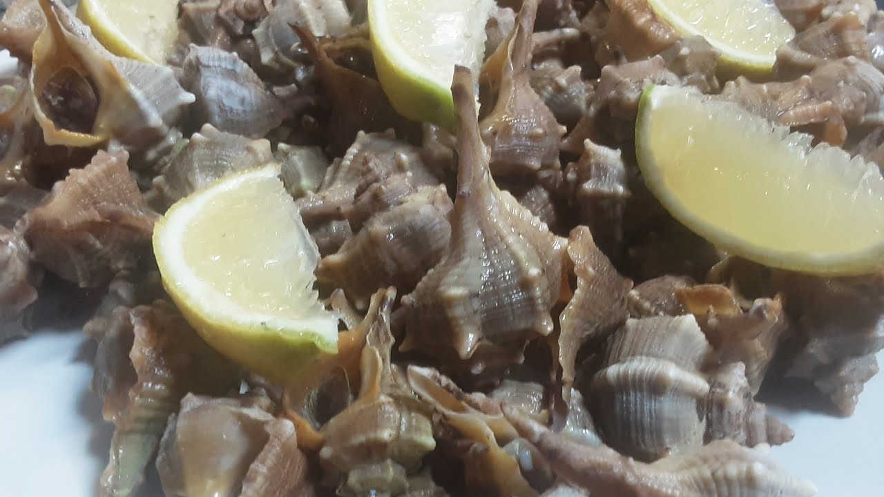 Aquí os muestro como cocer unas CAÑAILLAS que quedan perfecta 👌🏼😋