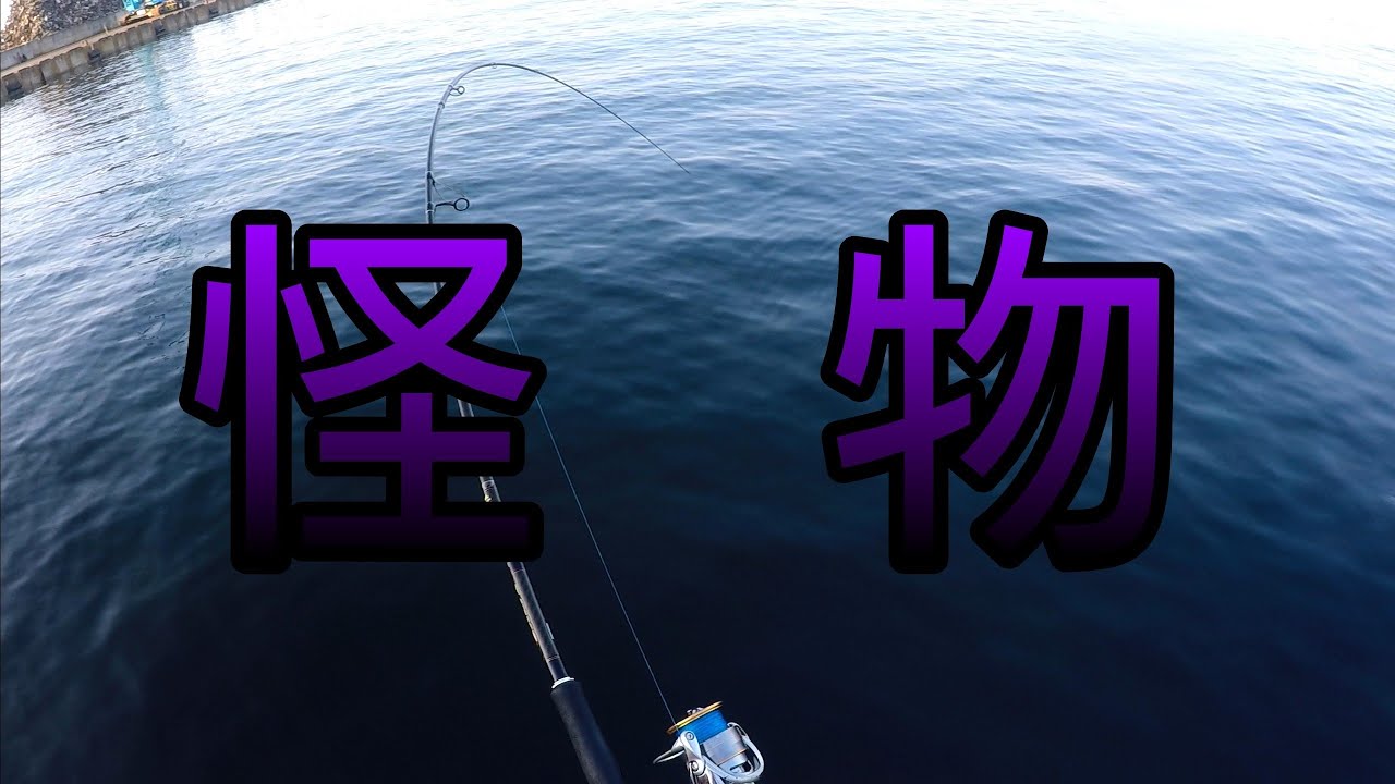【大阪 泉大津 釣り】釣れたサバ足元落としたら…。