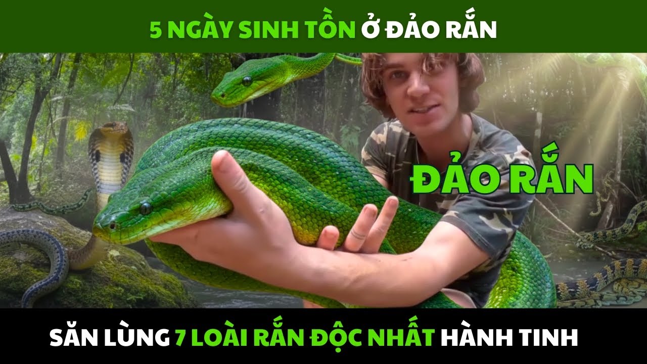 5 Ngày Sinh Tồn Trên Đảo Rắn - Săn Lùng 7 Loài Rắn Độc Nhất Hành Tinh