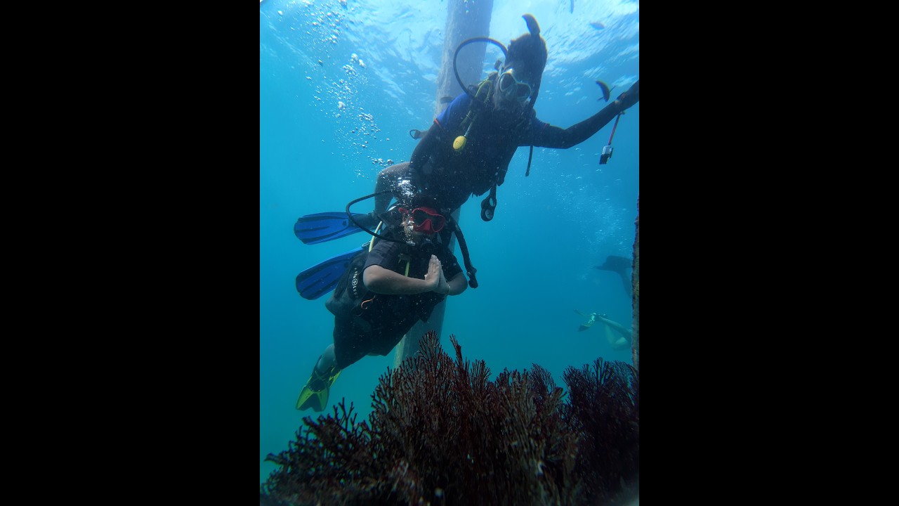 Andaman | Havelock | Scuba | Torsha