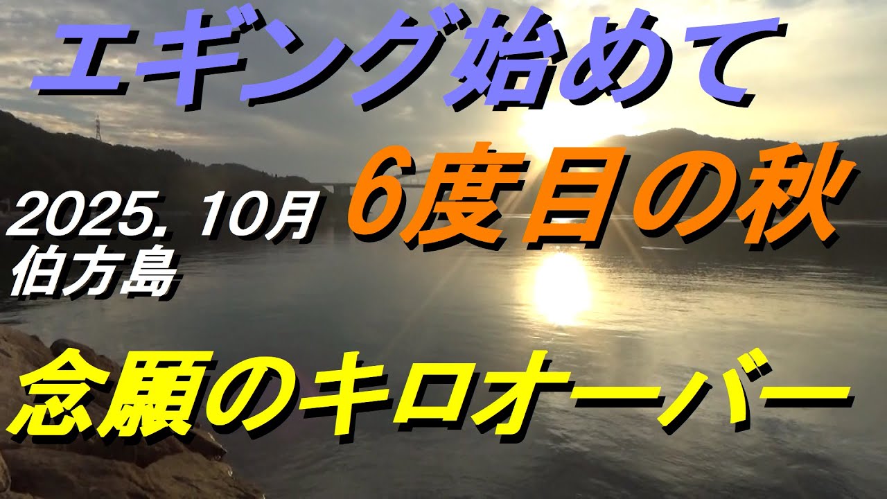 しまなみ海道伯方島！釣りたくてアオリイカ♪2025 10月