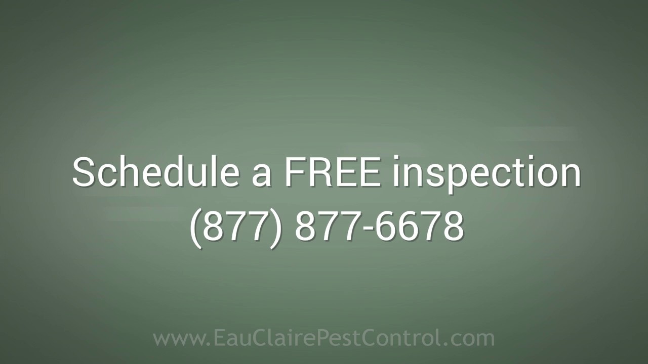Eau Claire Pest Control by Prompt Action (877) 877-6678