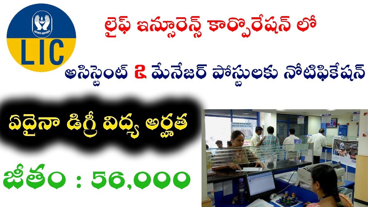 LIC Assistant And Assistant Manager Posts Notification 2019 || LIC Latest Recruitment Details