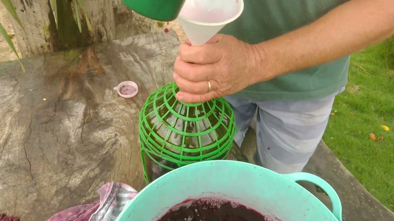 como fazer vinho de jabuticaba