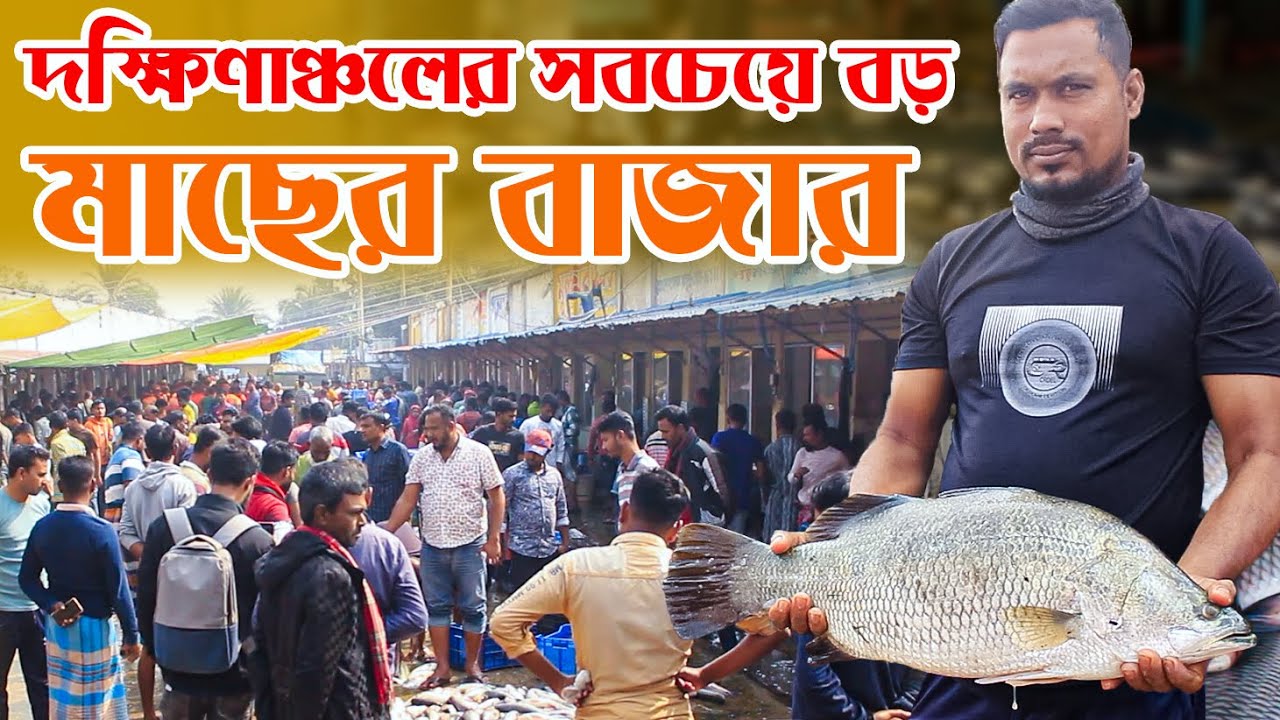 দক্ষিণাঞ্চলের সবচেয়ে বড় মাছের বাজার। ফলতিতা মাছের আড়ৎ। কৃষক কৃষাণী।