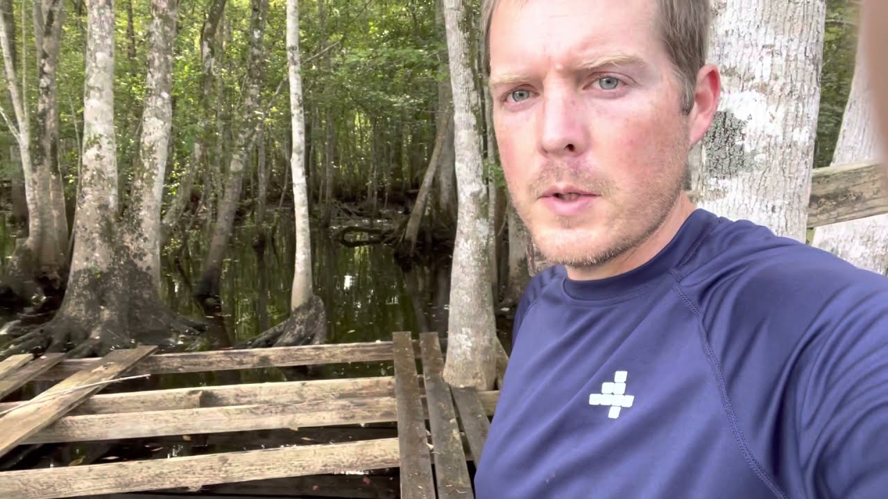 Ocklawaha River Day Trip (St. Johns to Rodman Dam)