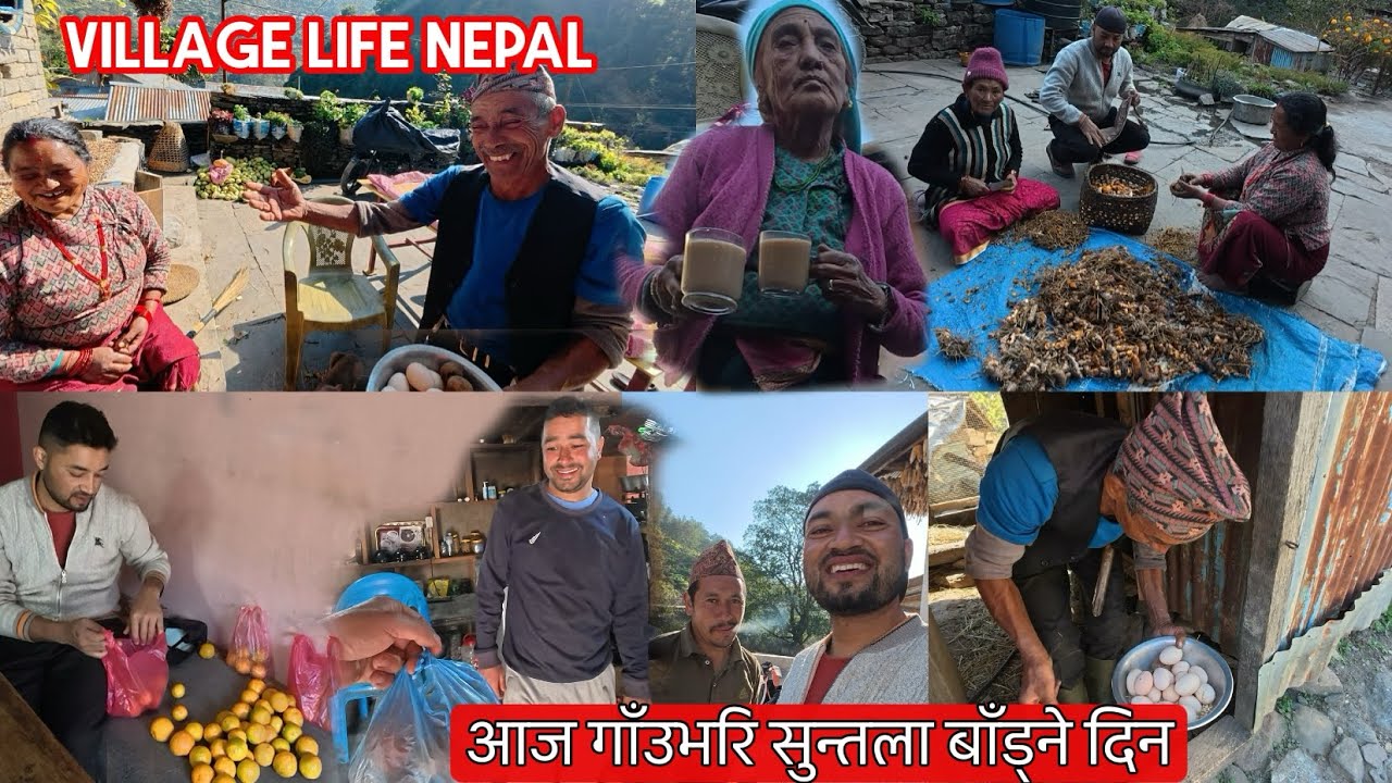 Village Vlog•हाम्रो पुरै गाँउ हेर्नुस• आज सुनतला बाँडिचुडि खाने दिन || रमलाइलो गाँउ 