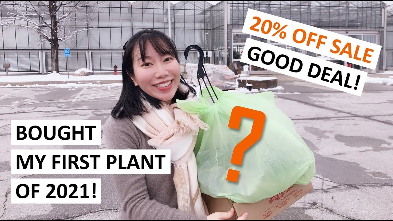 Bought My First Plant of 2021! 20% Off New Year’s Houseplant Sale Shopping @ Suburban Lawn & Garden
