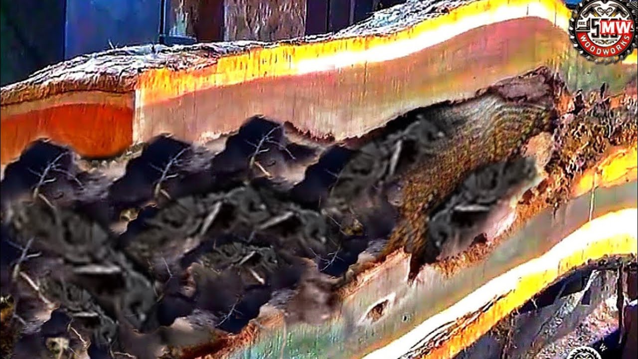 The discovery of a severed piece of baby snake shocked the woodworkers at sawmill