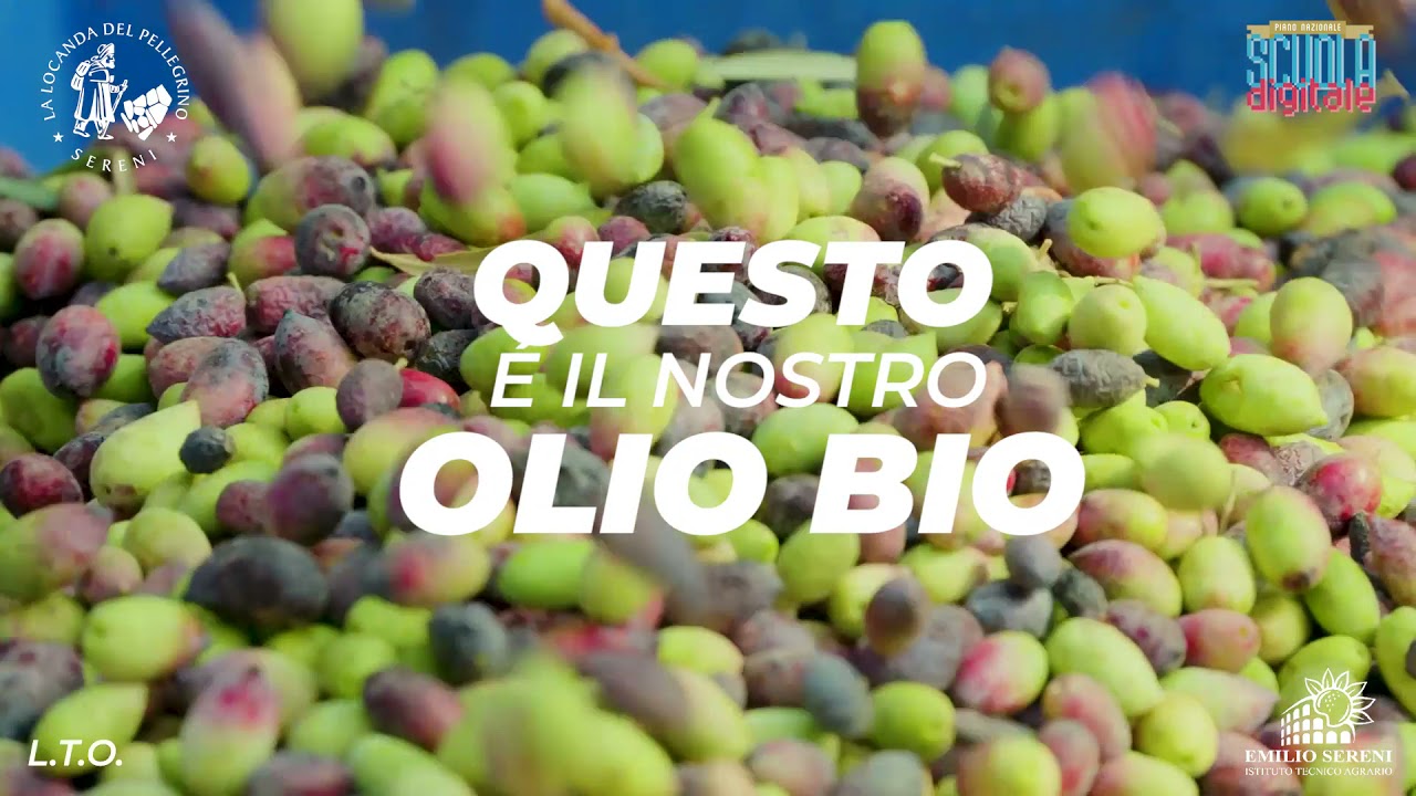 ITA E. SERENI ROMA - Il nostro olio