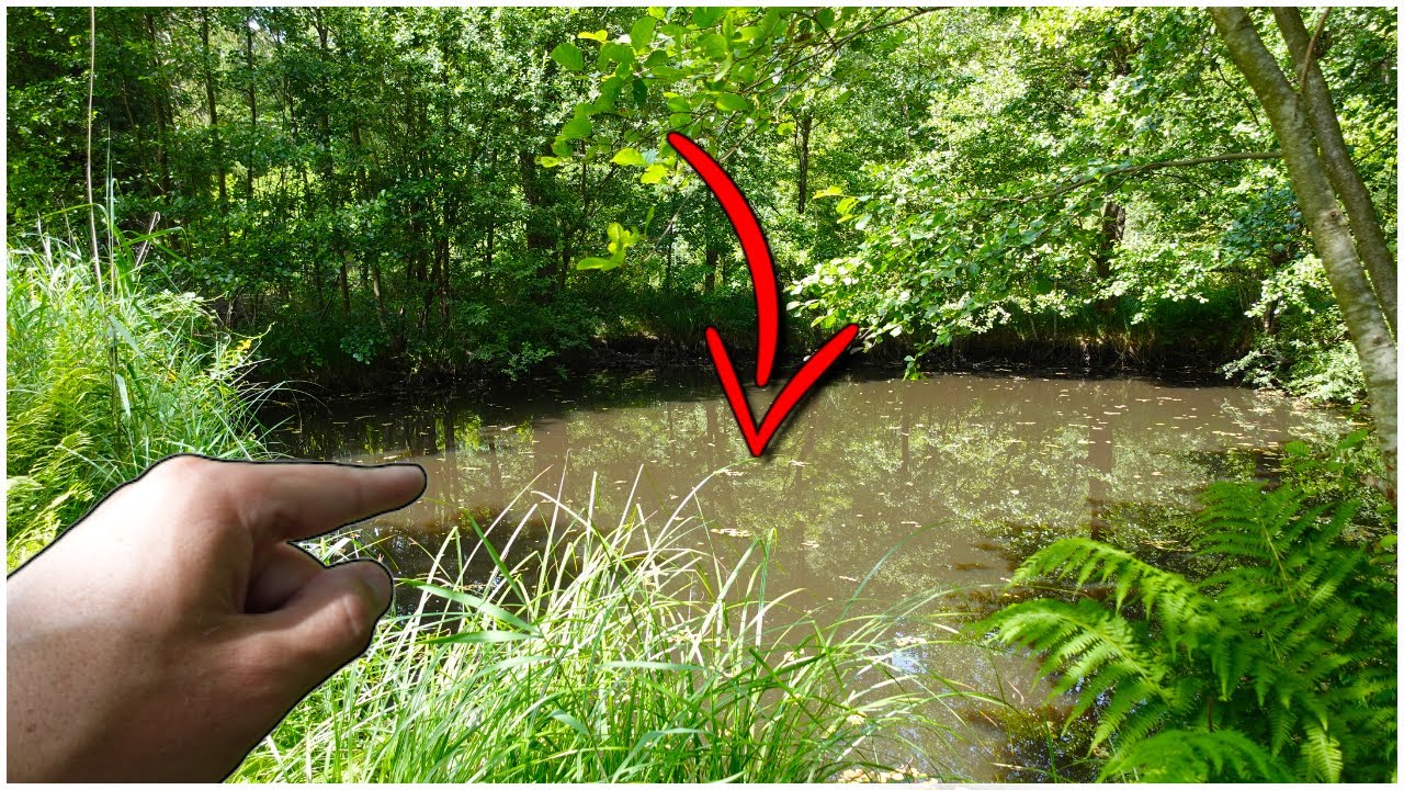 Je DÉCOUVRE et PÊCHE ce MINUSCULE plan d'eau ENSEVELI dans la PAMPA, Vous n'êtes pas PRÊTS !