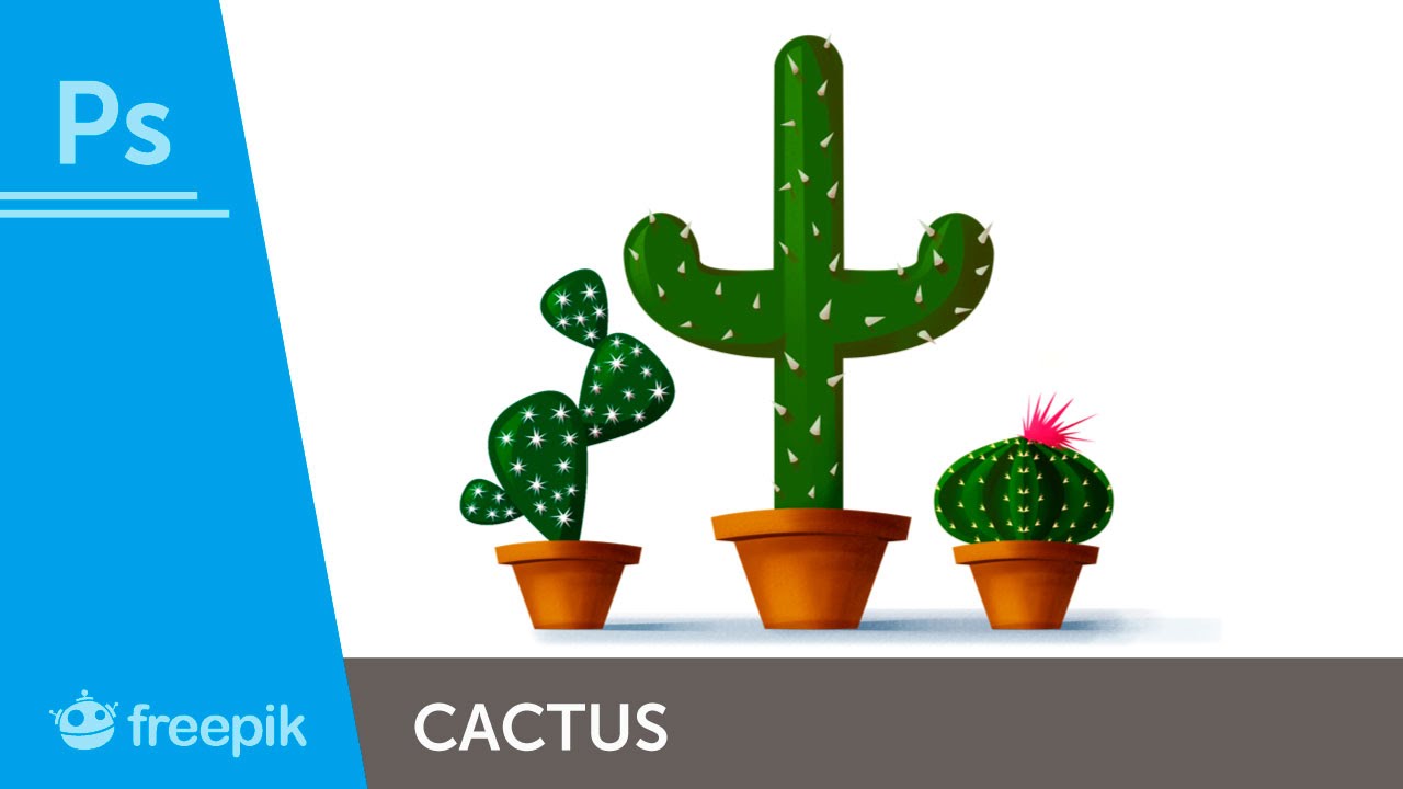 Illustration: Draw Different Cactus Designs (beginner) | Freepik
