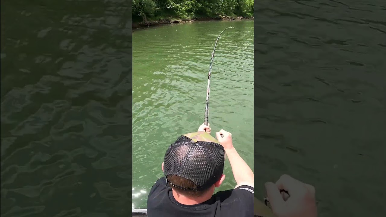 THE MONSTER FISH THAT GOT AWAY! 🤬