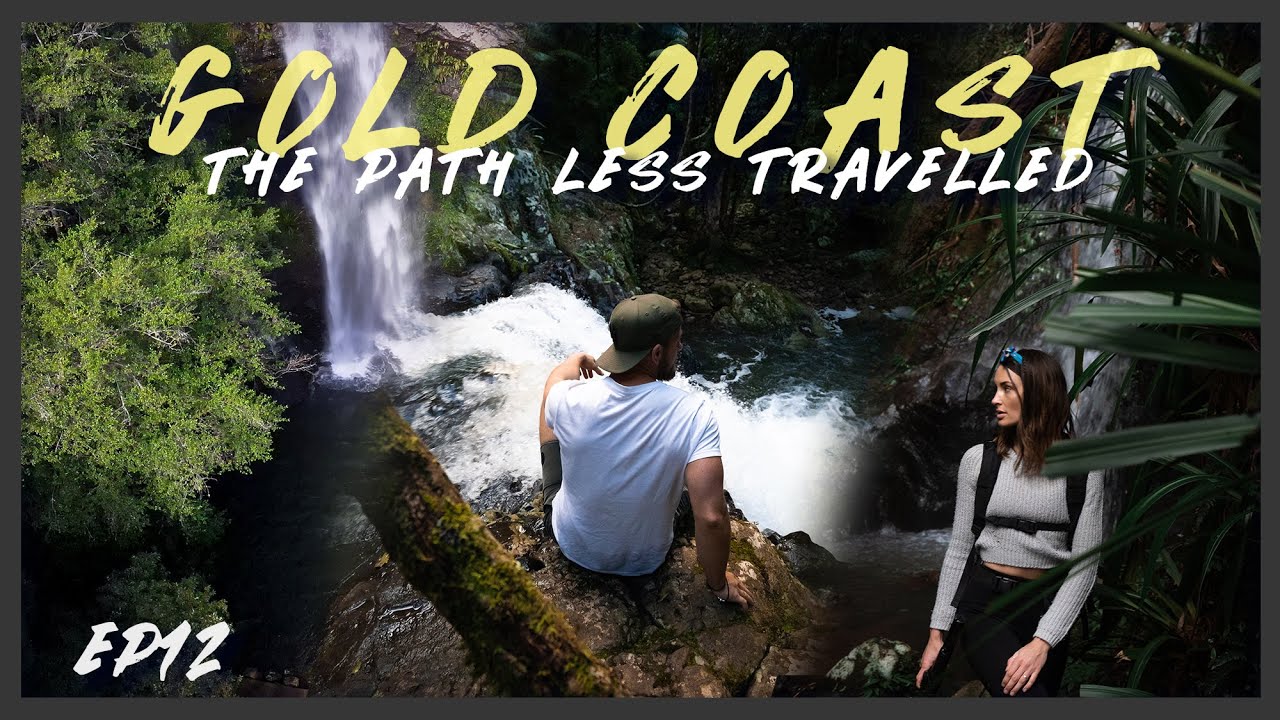 Travelling Australia - Gold Coast Part 1. SPRINGBROOK NATIONAL PARK hiking & waterfalls - EP12