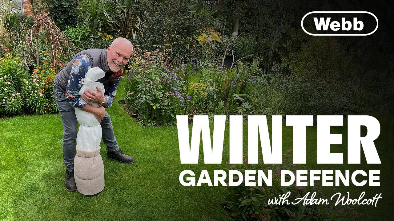 How To Protect Your Plants During the Winter - Gardening Advice from Adam Woolcott