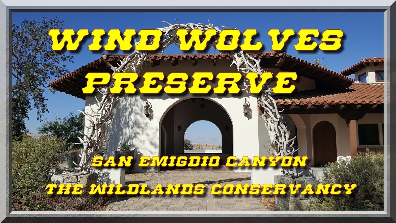 Wind Wolves preserve camping hiking