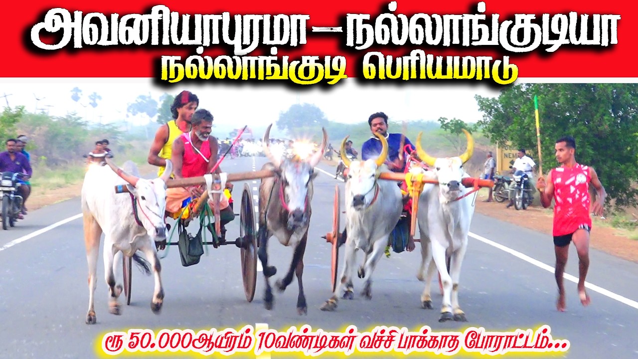 Nallangudi Big Cattle Race 09.04.2026