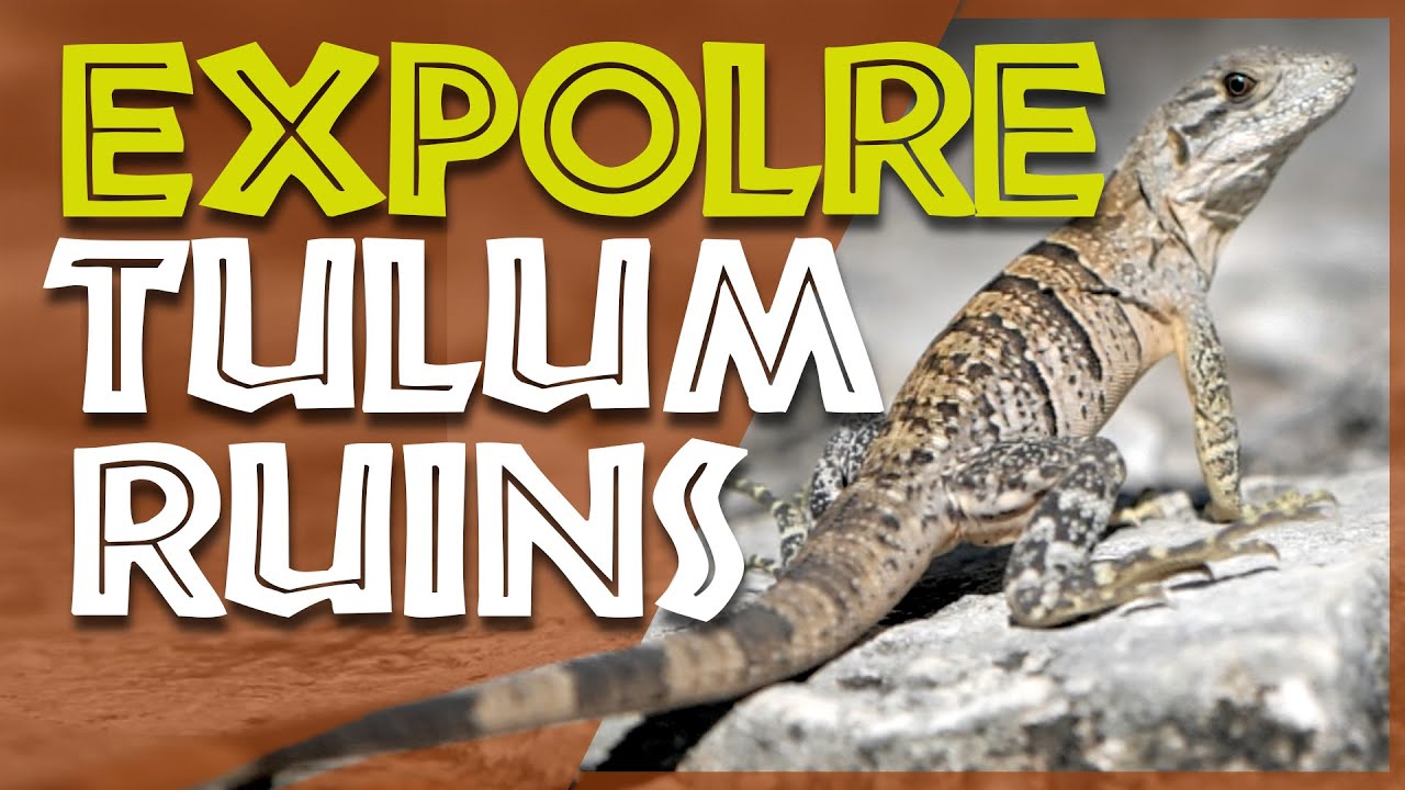 Things to know before Visiting Tulum Ruins