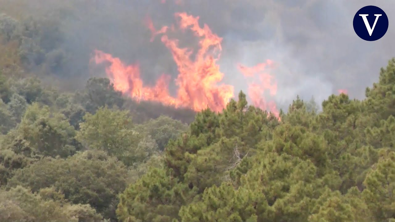 Dos fallecidos en el incendio de Zamora