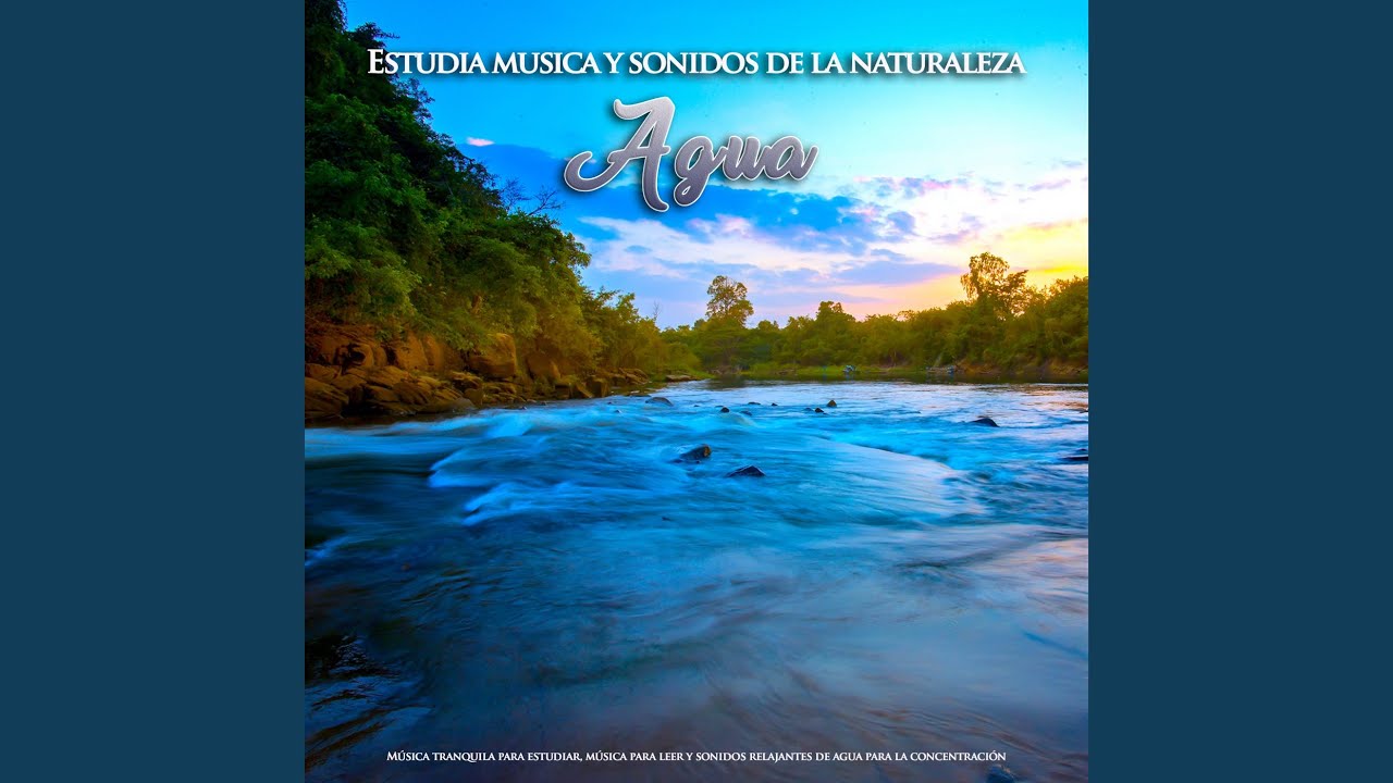 Musica pacifica