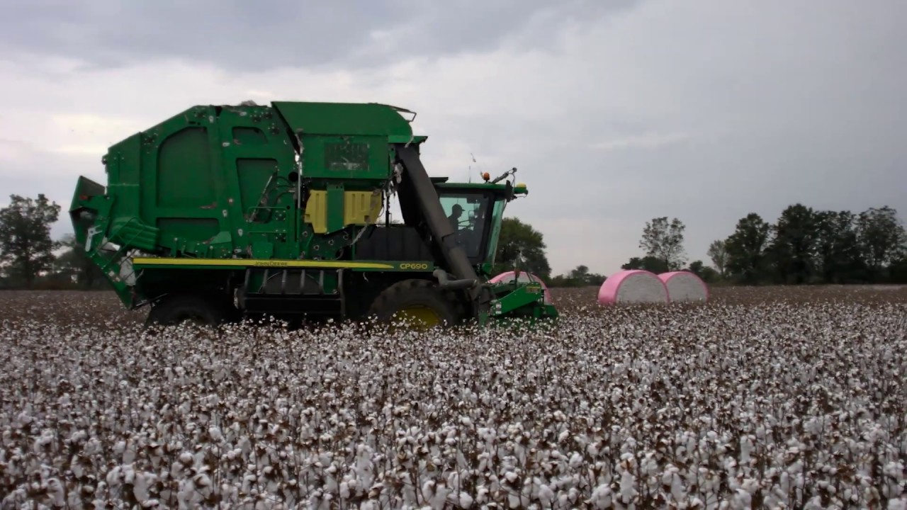 Dr. Campiche Reviews USDA&rsquo;s May Estimates