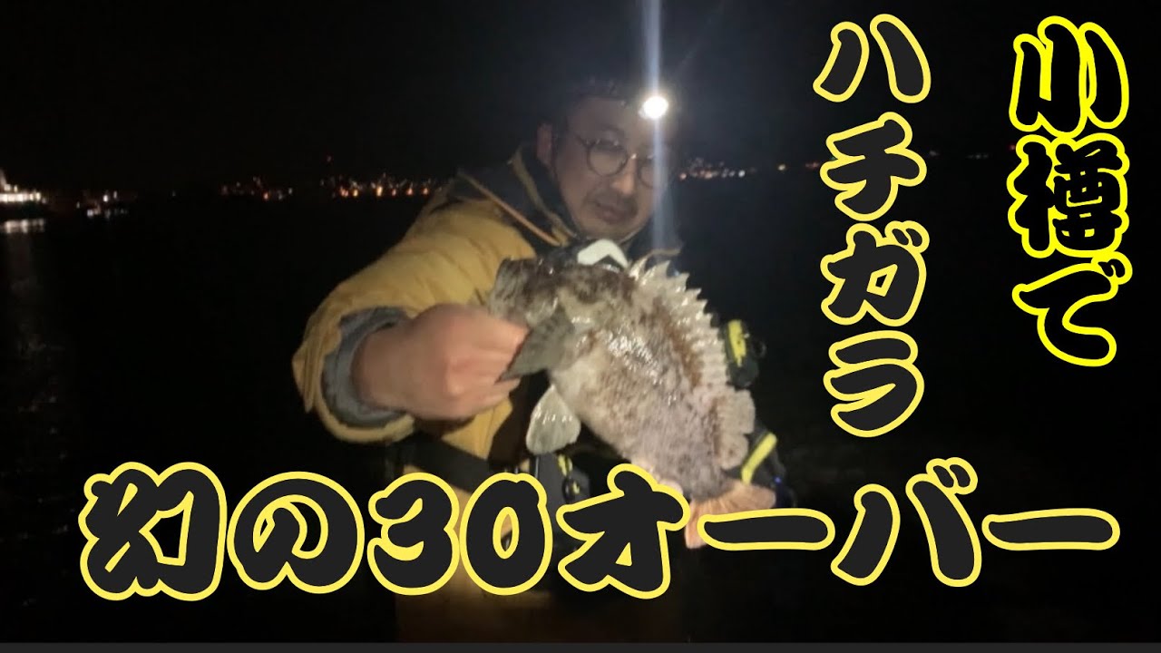 南防波堤で30オーバーのハチガラと山岡家全トッピング