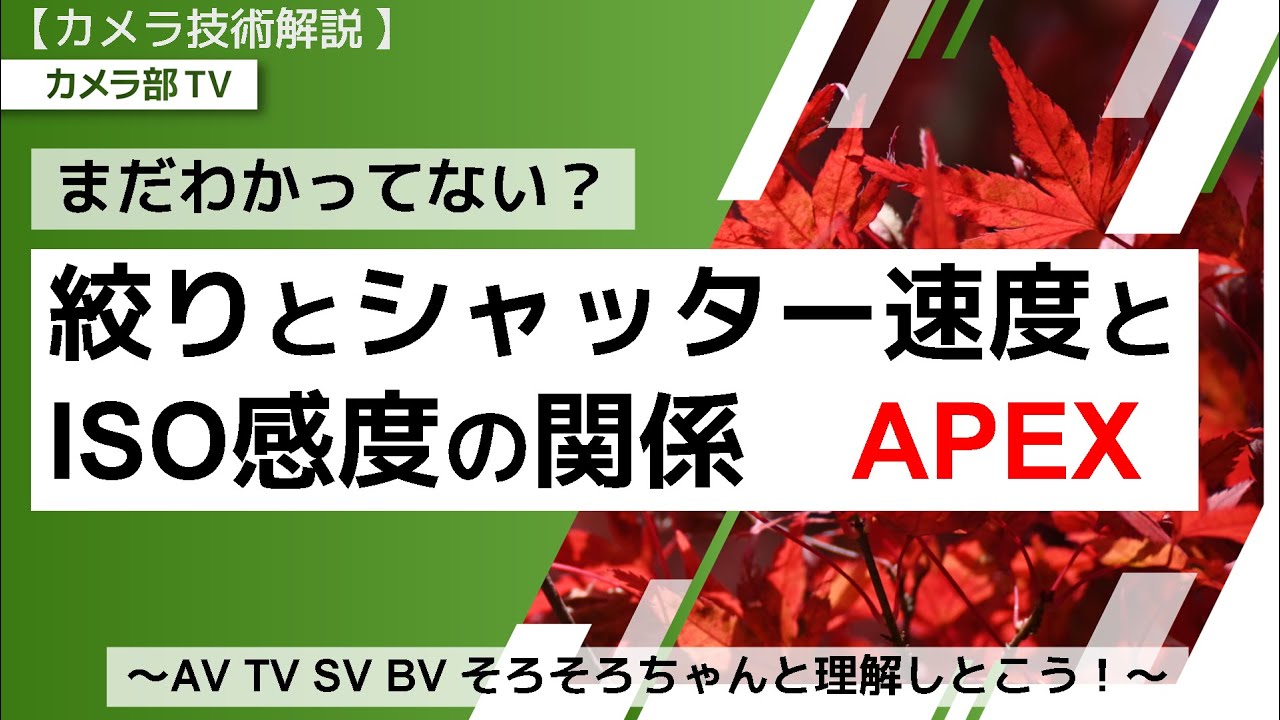 【カメラ技術解説】まだわかってない？「絞りとシャッター速度とISO感度の関係」～AV TV SV BV そろそろちゃんと理解しとこう！～