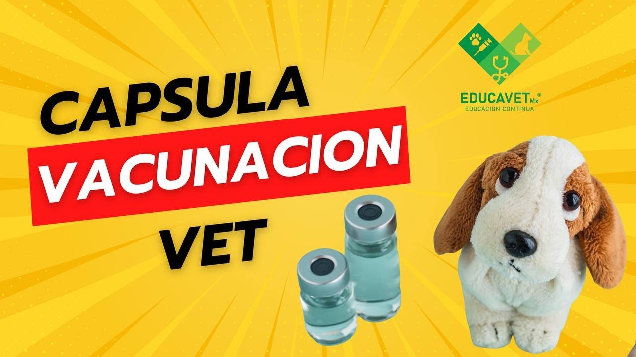 VACUNACION EN PERROS Y GATOS