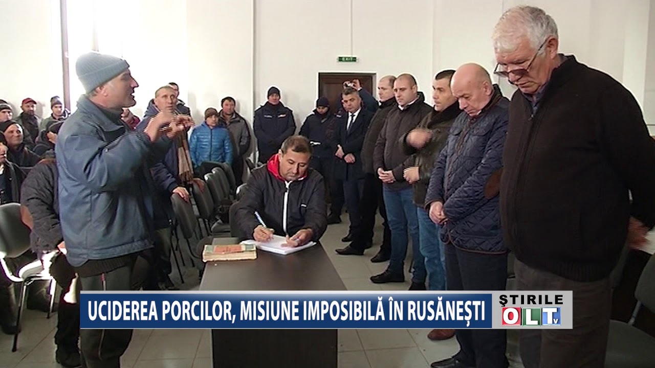 UCIDEREA PORCILOR MISIUNE IMPOSIBILA LA RUSANESTI 2911