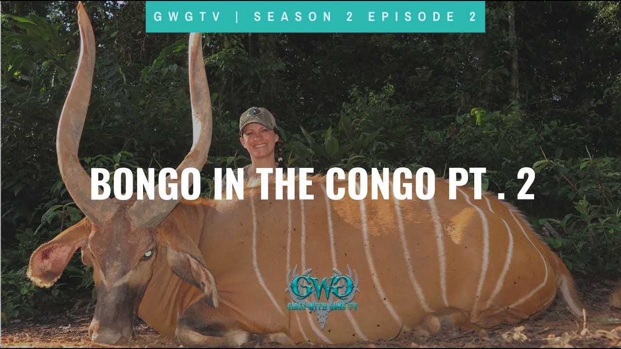 GWG TV S2, E2 | HUNTING BONGO IN THE CONGO PT 2