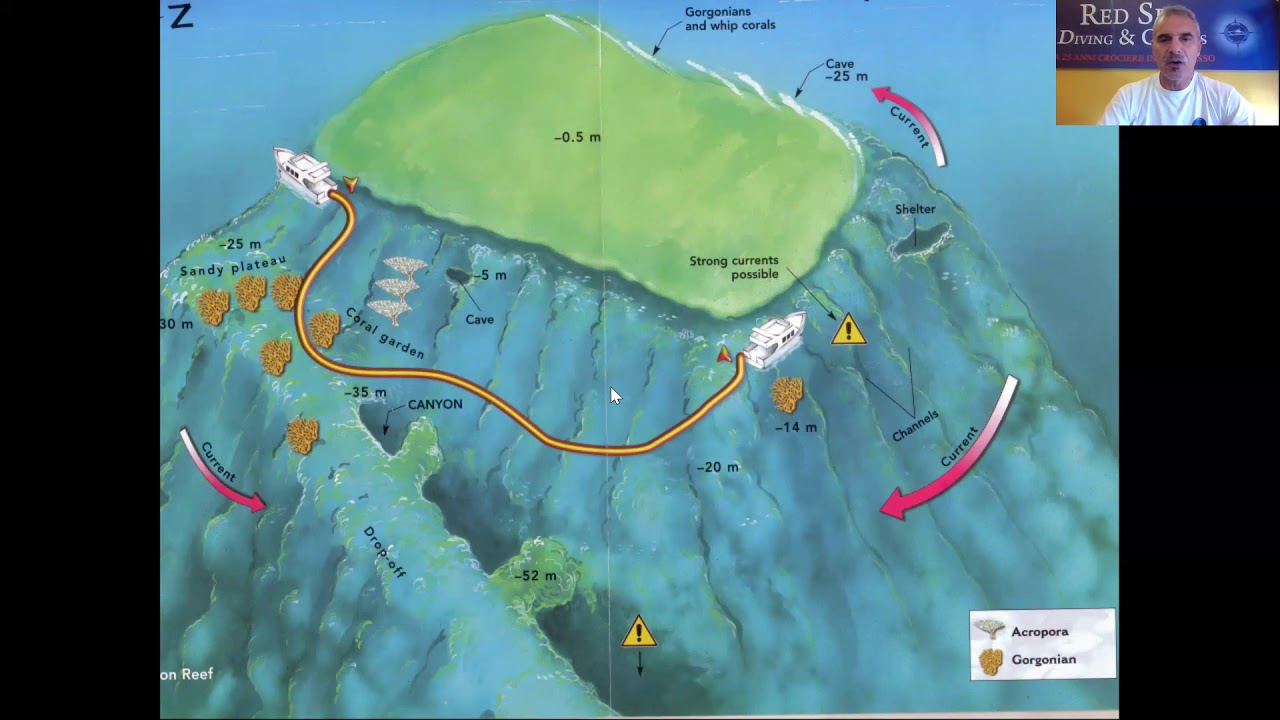Breafing Thomas reef