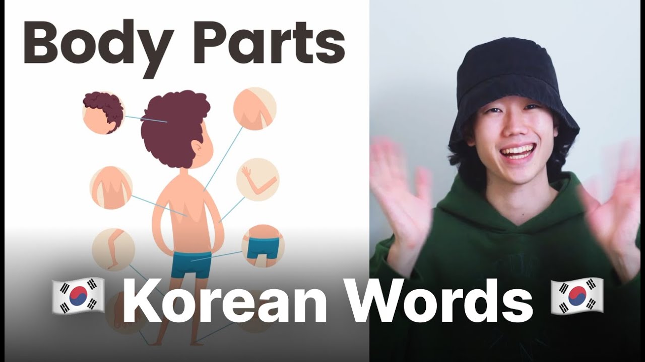 🇰🇷 Basic Vocabulary - 👄Body Parts🦻 | Essential Words for Beginners