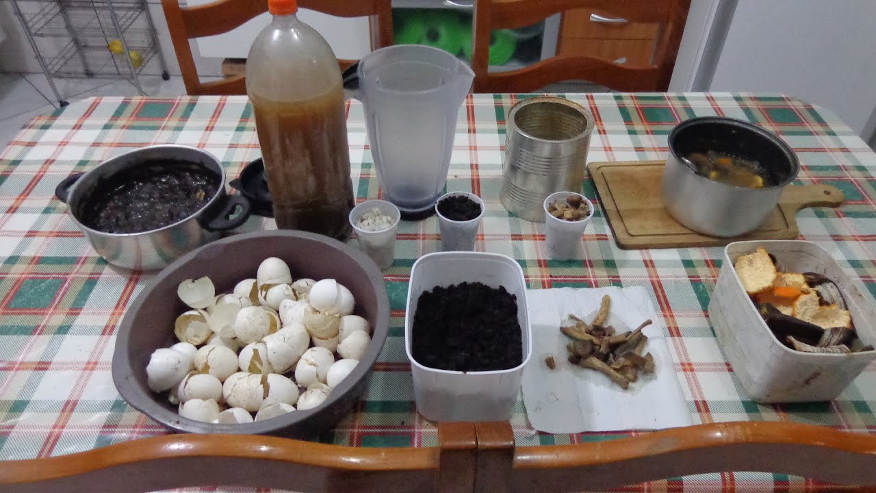 SUPER ADUBO lÍQUIDO, COMPLETO,CASEIRO, NATURAL E GRÁTIS. (ideal para pomar e horta)