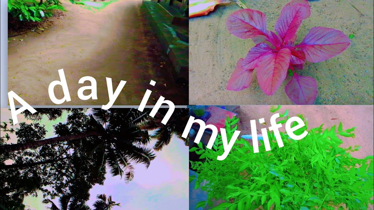 Sunday morning special vlog || a day in my life 