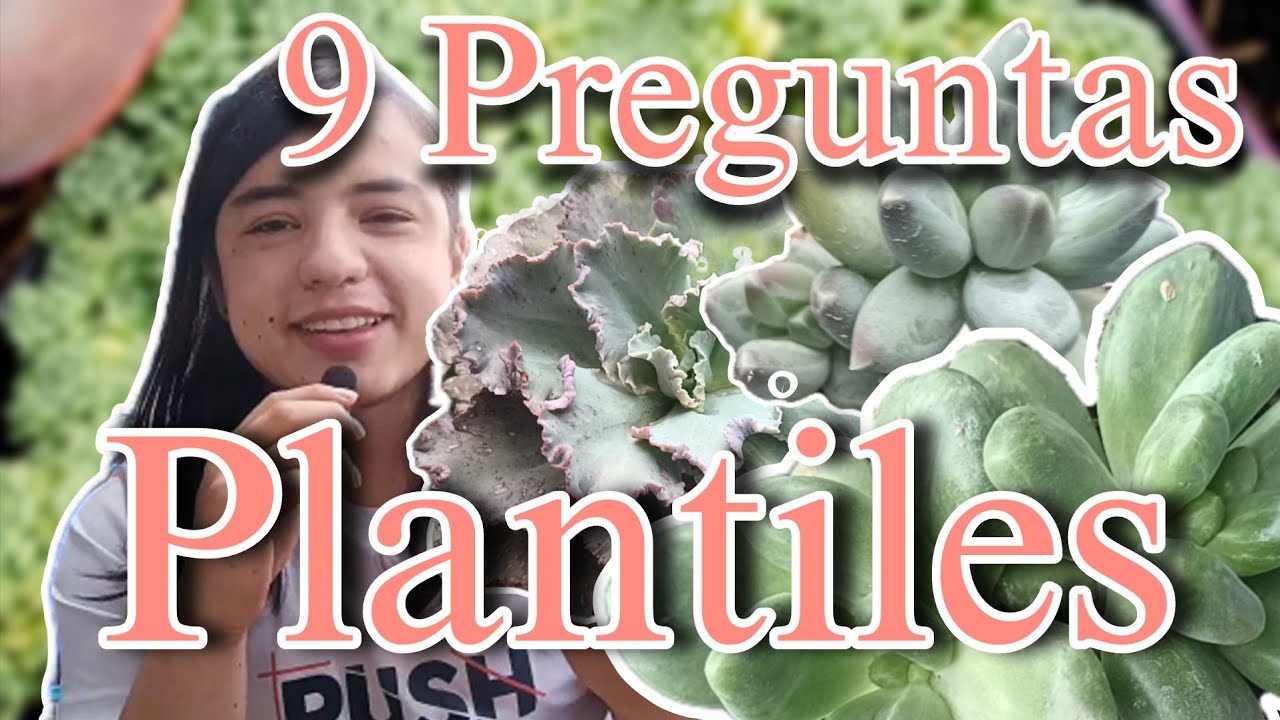 9 Preguntas Plantiles/ @Pachy Amor ft:@Soy Michelle Apihel @Vichita @Plantiamigo