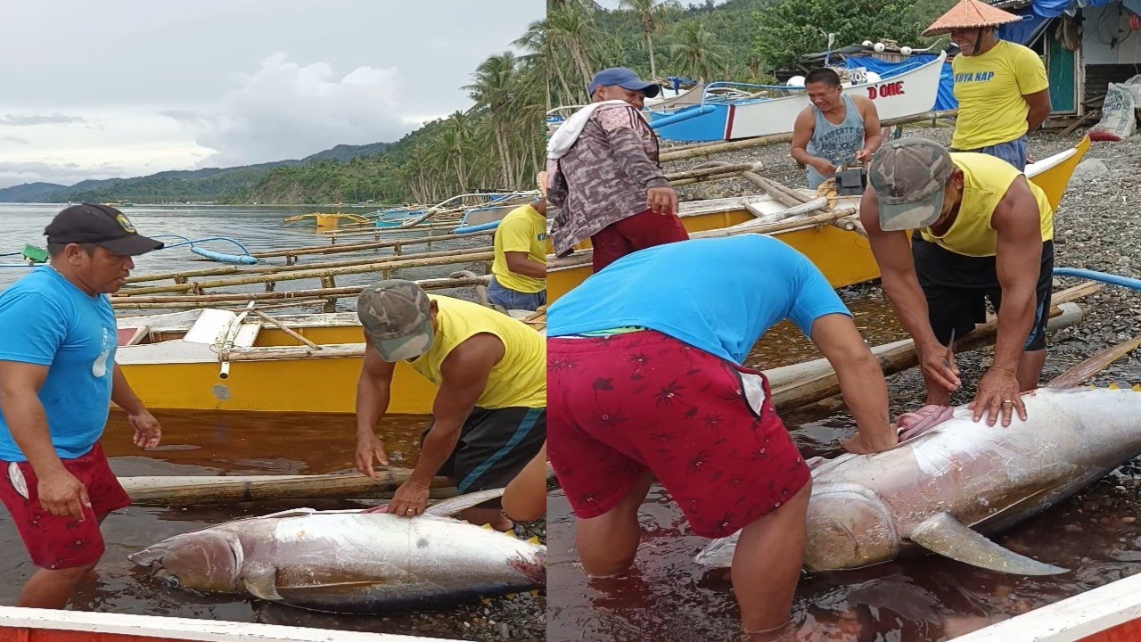 Hunting Big Tuna