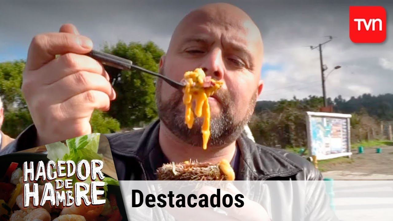 La ruta del erizo en Quellón | Hacedor de hambre | Buenos días a todos
