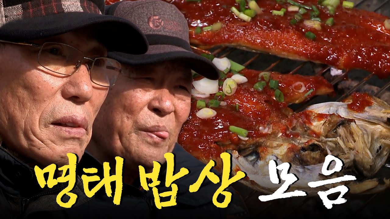 코다리, 북어, 황태, 먹태 등등 수십 가지 이름을 가진 다채로운 명태 밥상 모음집 Korean Food｜팔도밥상🍚 KBS 20231230