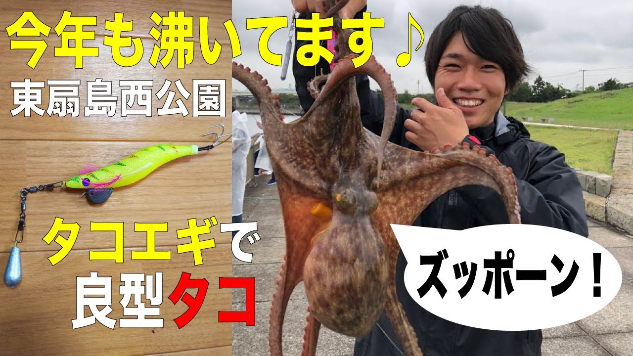 今年も好調！「東扇島西公園」タコエギでお手軽マダコ釣り！