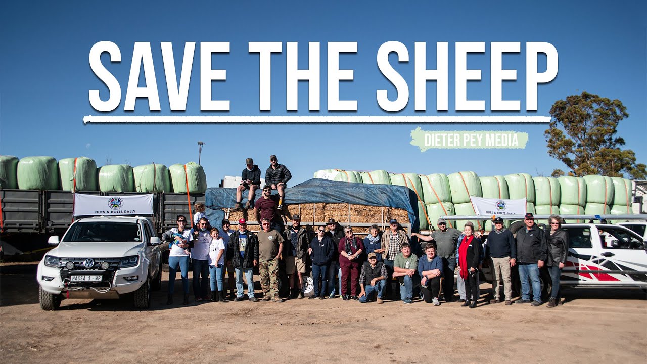 Save the Sheep | Drought Relief for the Farmers of Sutherland