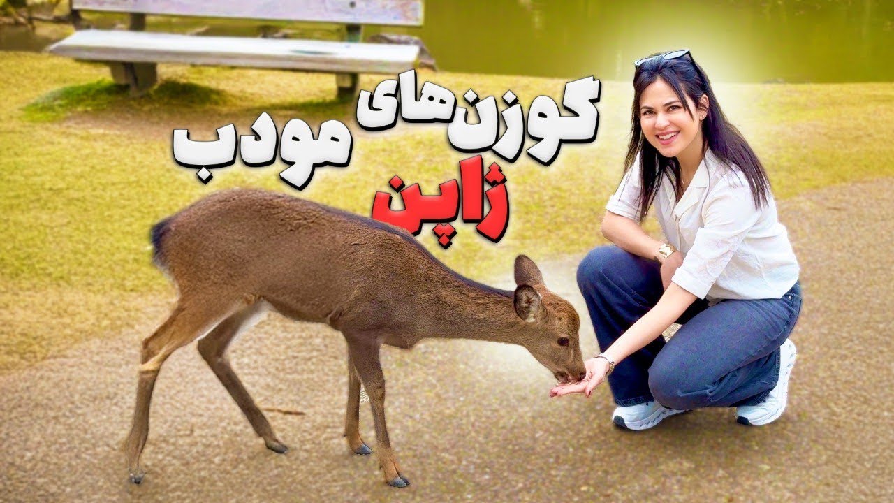 سفر به نارا اولین پایتخت ژاپن