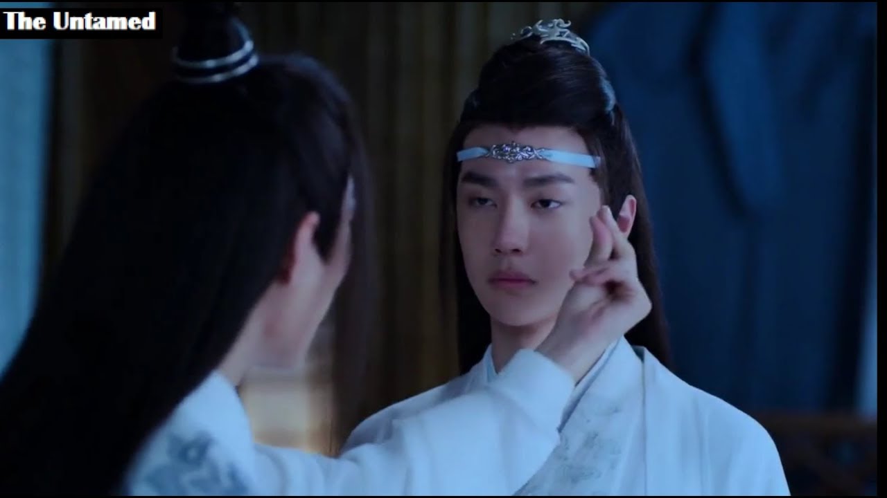Wei Wu Xian & Lan Wan Ji ( The Untamed 陈情令 MV)