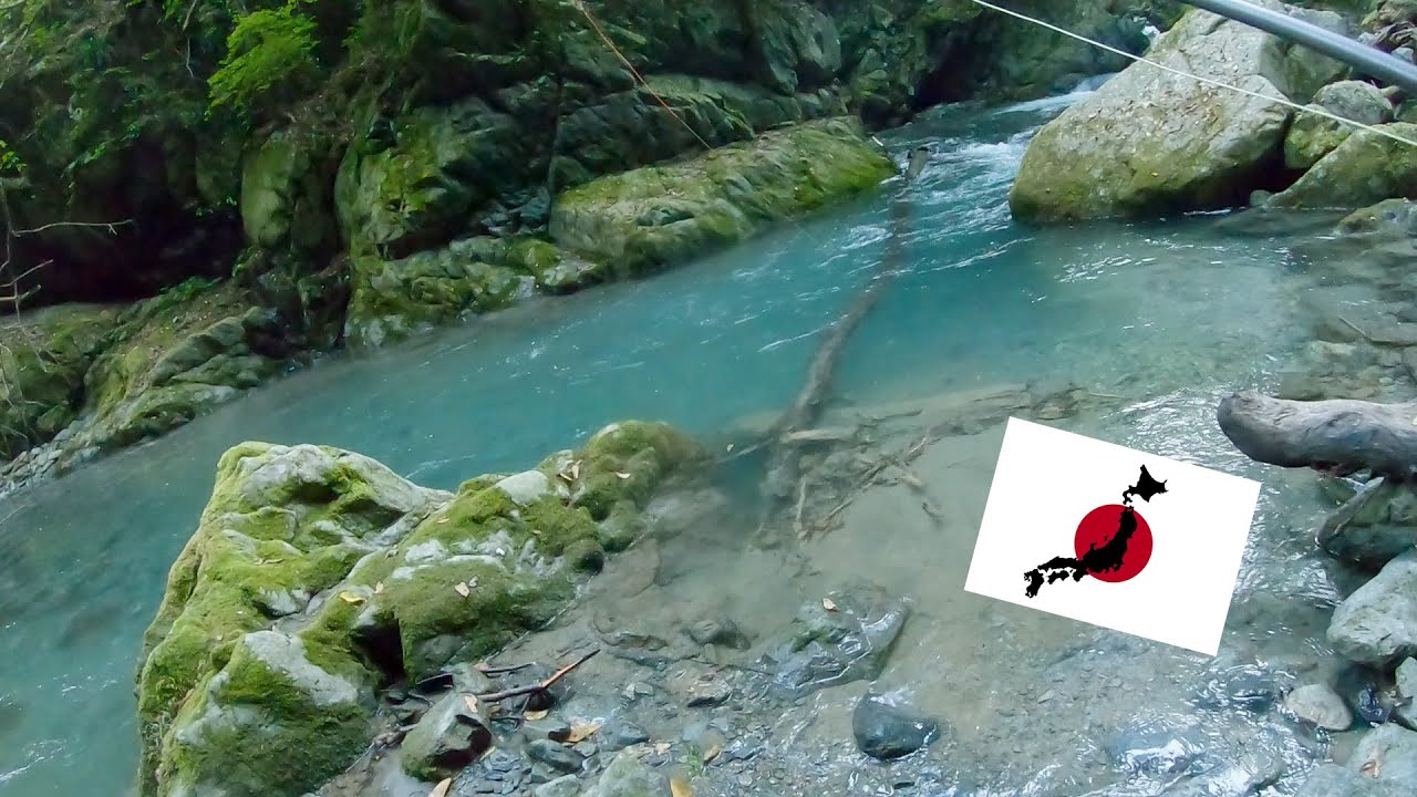 Trout Fishing in JAPAN(Native Trout)