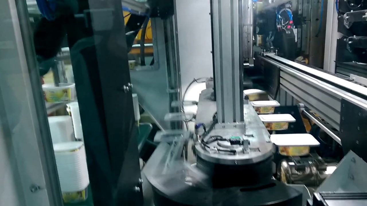 IML ROBOT WITH VISION CONTROL SYSTEM
