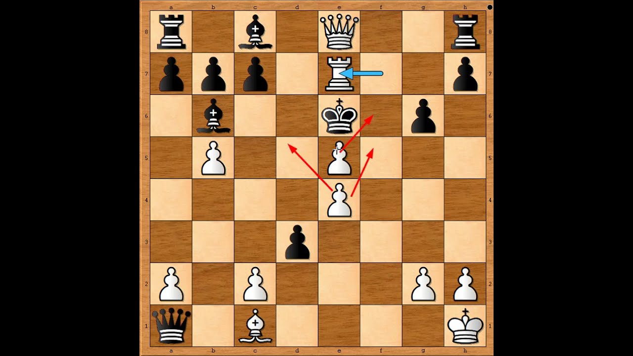 Još jedna u nizu pobeda čuvenog 🔥🔥🔥💥🔥 MORPHY vs PERRIN 