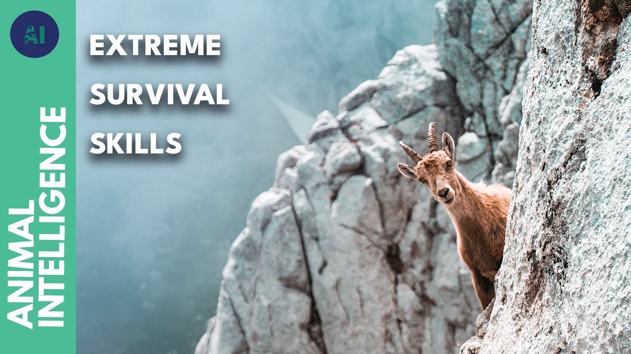 The most extreme animals on the planet | AI