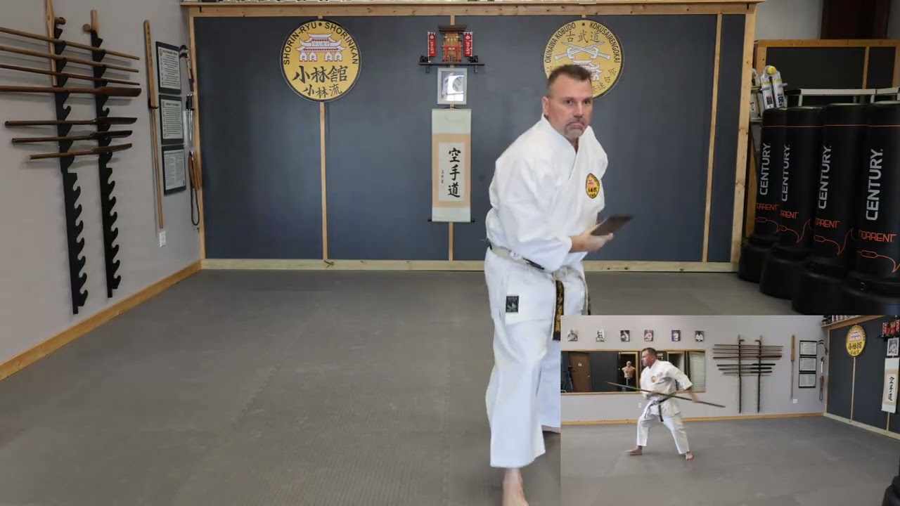 Sakugawa no Eku Kata - Front and Side View